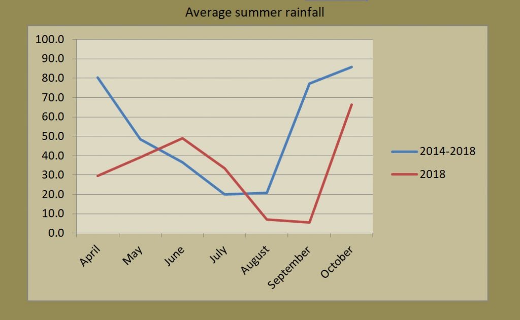 Average summer month rainfall for 2019